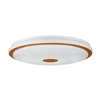 Светильник потолочный LED Lanciano 1 900599 Eglo белый 1 лампа, основание белое в стиле современный 